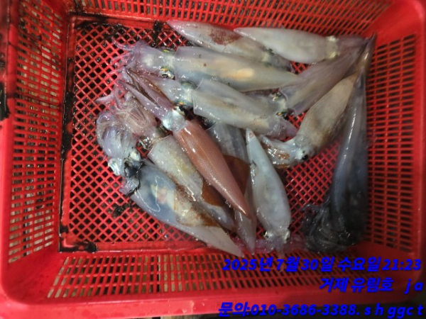 aa243c0f85bc83a6c1c808482c6143b6.jpg