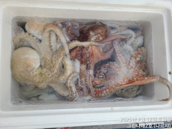 aa80ab22bb0ad289dc35328df74753bc.jpg