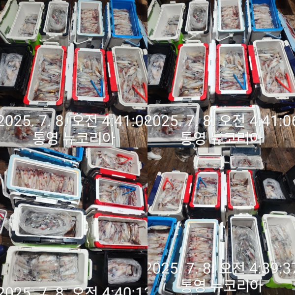aad5d2e4cfa856bd784c317547765504.jpg