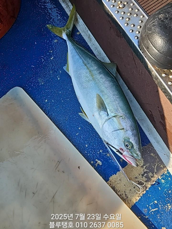 20250723_075651.jpg