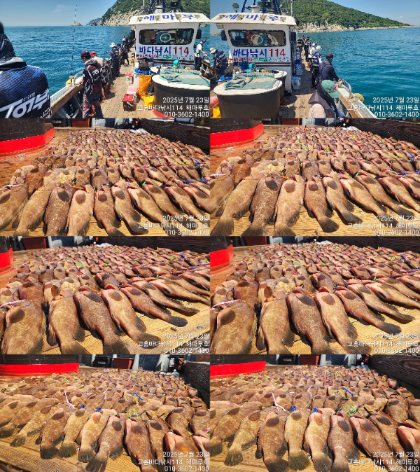 abfc39e334ef70a73e52ba294bcf6dff.jpg