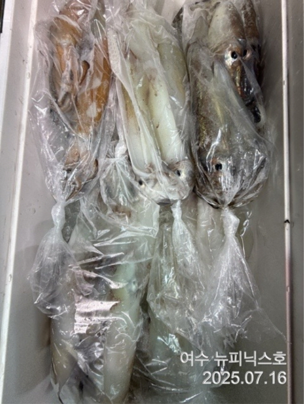 큰7월16일한치 (16).jpg