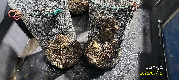 DateCamera0715024527.jpg