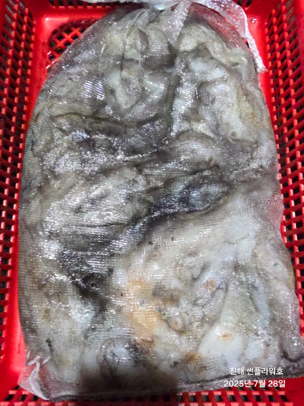 54751.jpg