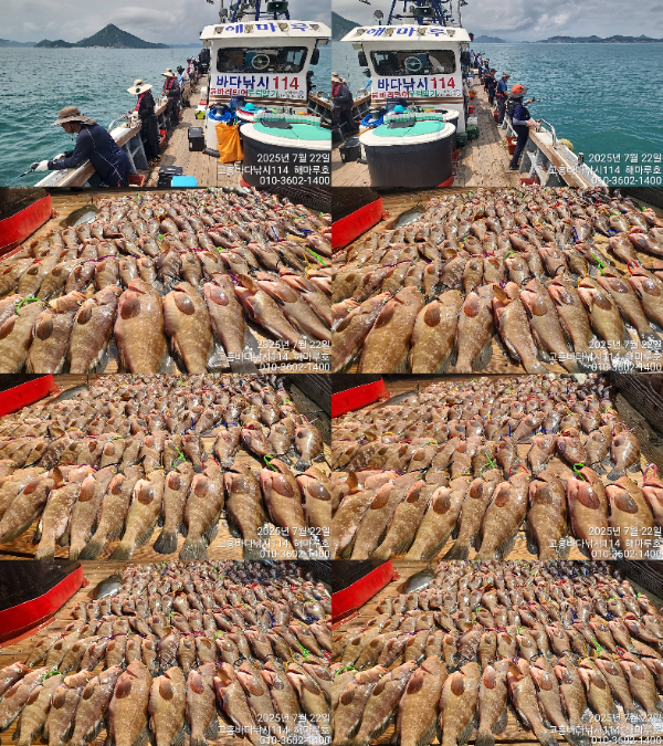 01TimePhoto_20250722_115216-tile.jpg