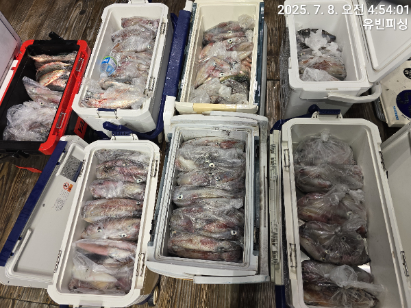 KakaoTalk_20250708_051219639_01.jpg