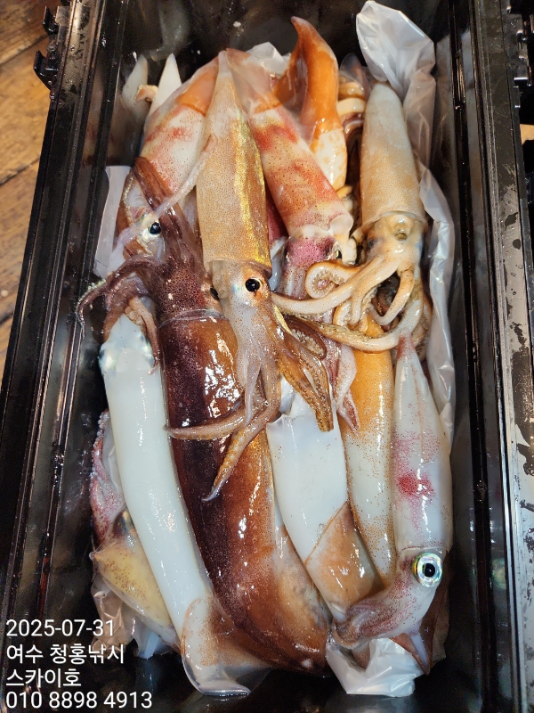 KakaoTalk_20250731_153849257_09.jpg