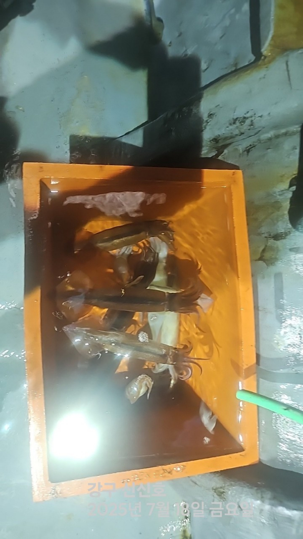 신신낚시 강구점 신신호_사진_20250718_11.jpg