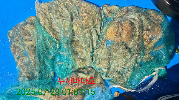 b55e7c175e0e9930dc25ad5af7e387b0.jpg