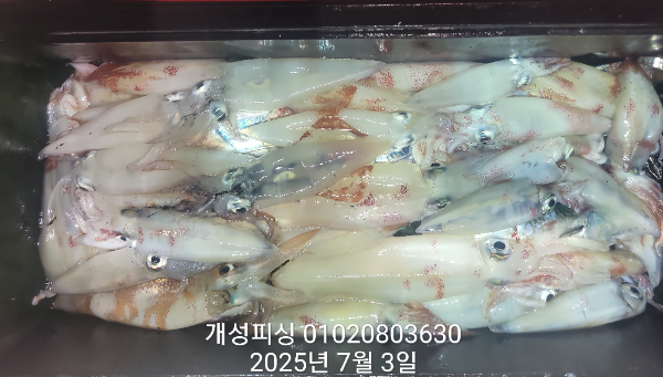 b619d548e5899cea1623556fced993b0.jpg