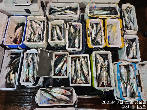 KakaoTalk_20250725_024908392_01.jpg