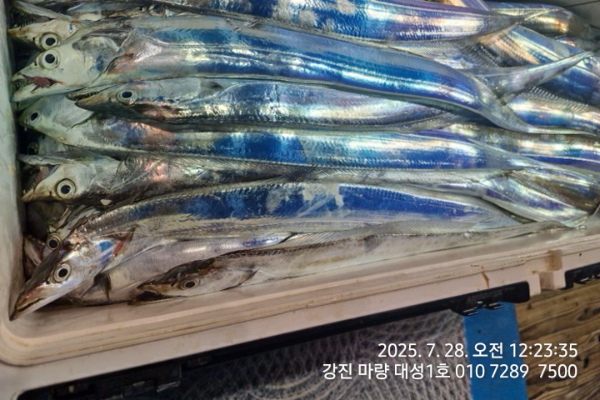 b8653ad9e646890c364715142c3fd5d2.jpg