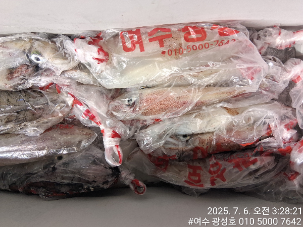 KakaoTalk_20250706_112615269_14.jpg