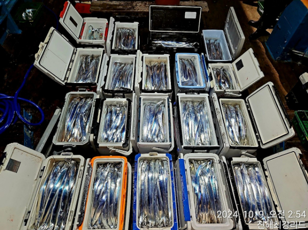 b885ac71394391b116efba6cd1db9d20.jpg