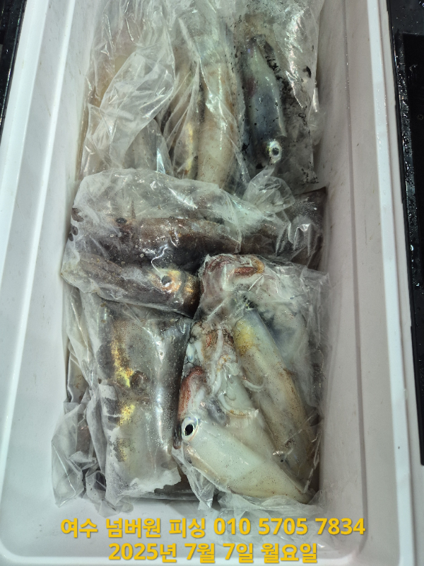 KakaoTalk_20250707_051657960_20.jpg