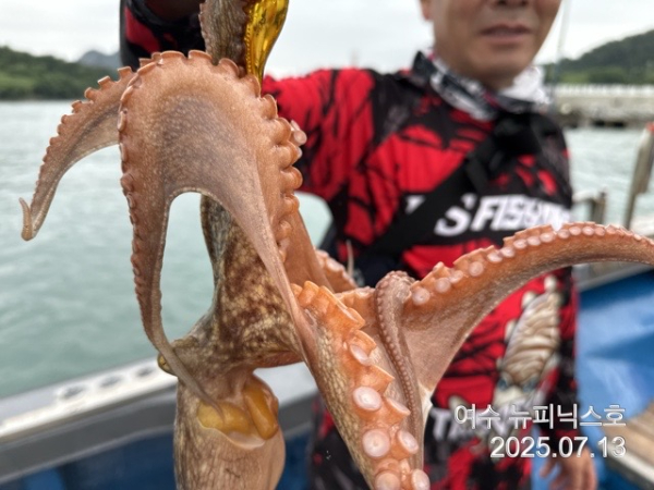 7월13일문어 (41).jpg