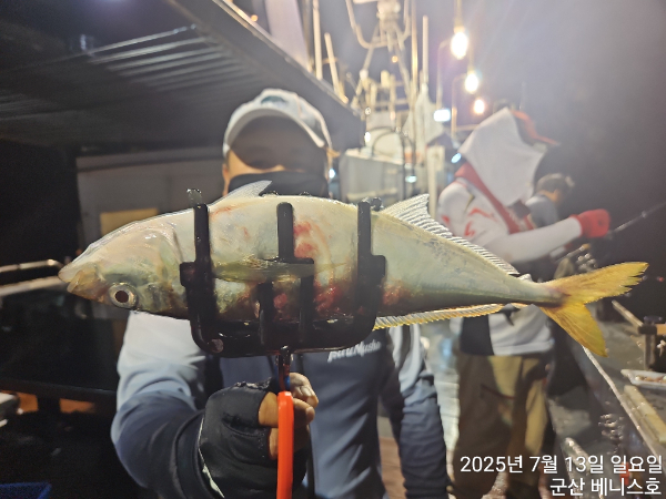 KakaoTalk_20250714_033138021_11.jpg