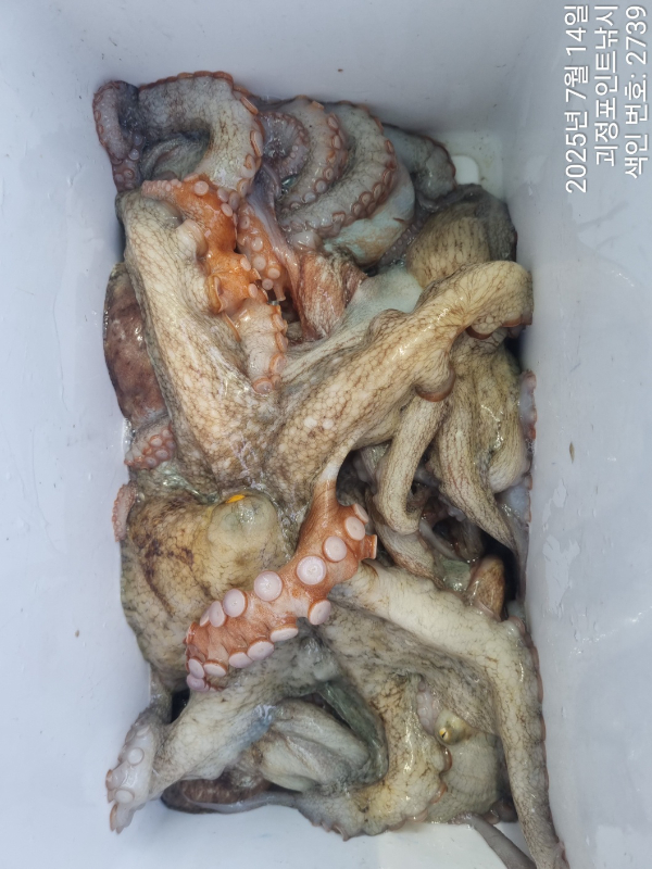 KakaoTalk_20250714_163612565_05.jpg