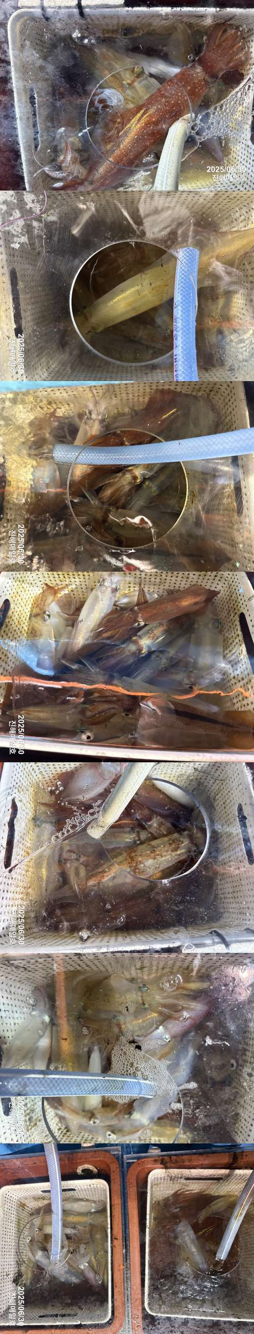 왕한치2.jpg