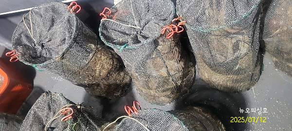 DateCamera0712231819.jpg