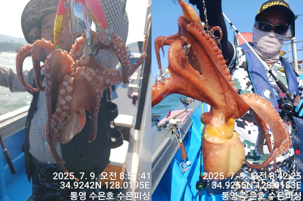 1752019494532-tile.jpg