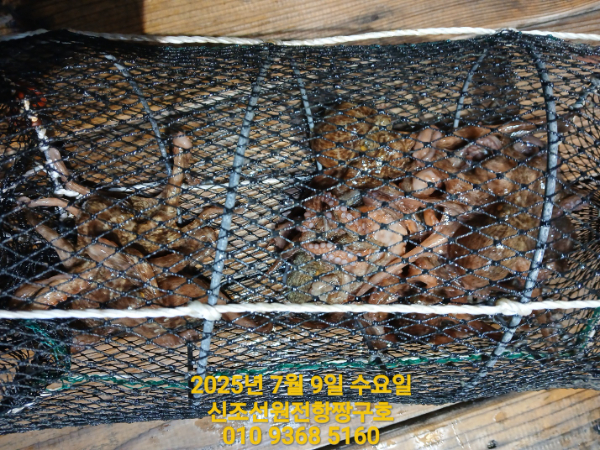 KakaoTalk_20250710_015442852_02.jpg