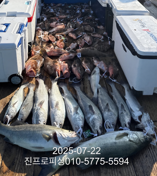 1753179146091.jpg
