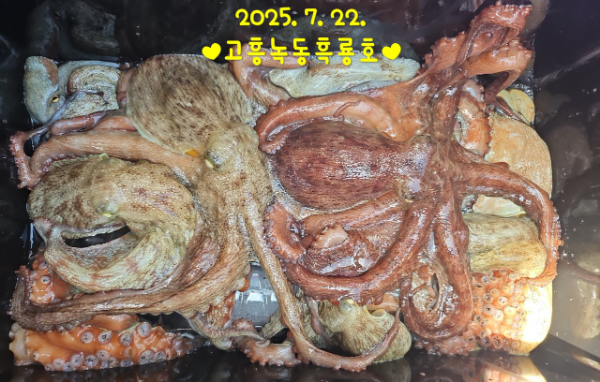 1000059193.jpg