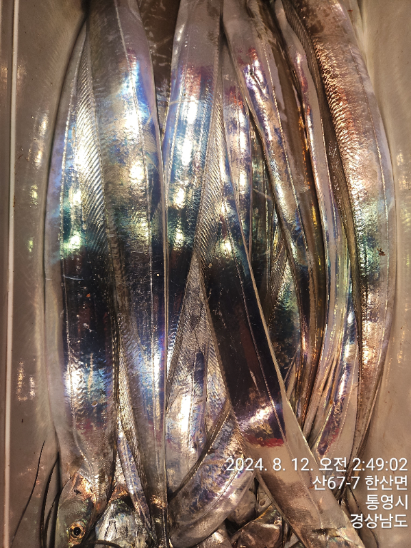 bdbd3747170c6276bdf71a3384352b31.jpg