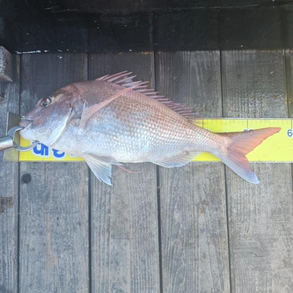 마검포 대한호(VIP)_사진_20250727_3.jpg