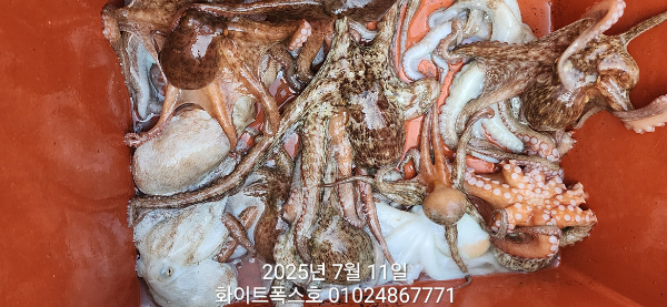 1752228782881.jpg