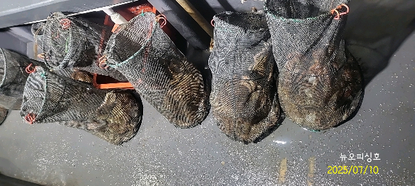 DateCamera0710001055.jpg