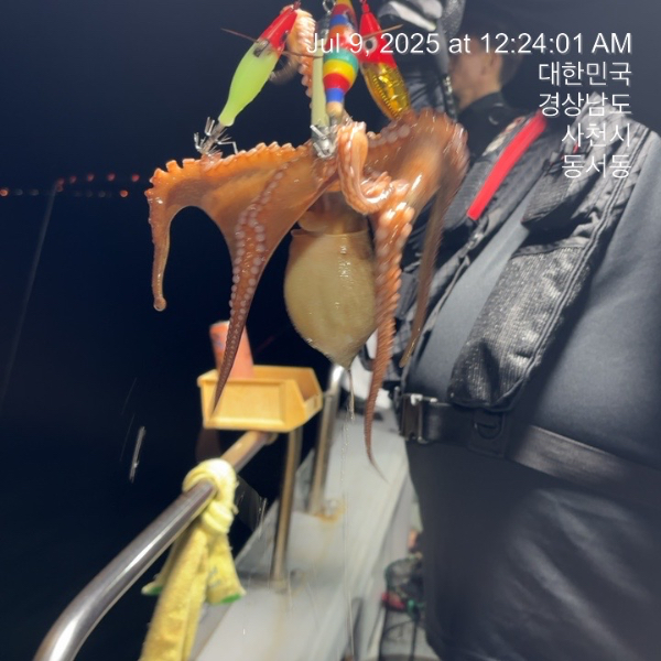 TC_00486.jpeg