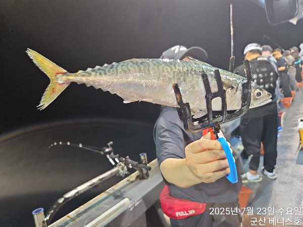 KakaoTalk_20250724_034854955_10.jpg
