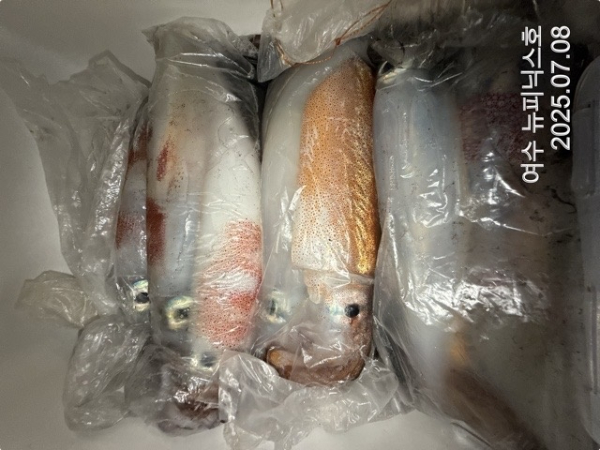 7월8일한치 (15)-tile.jpg