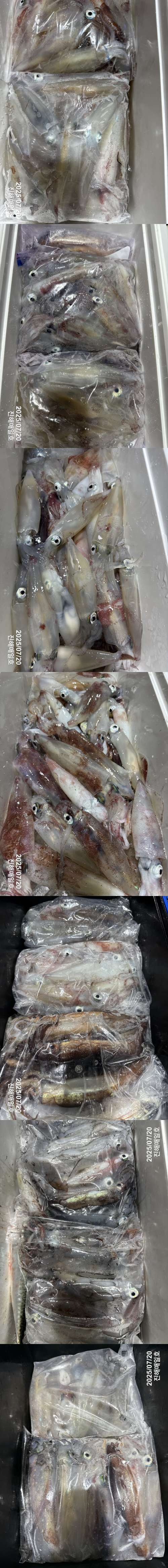 왕한치2.jpg