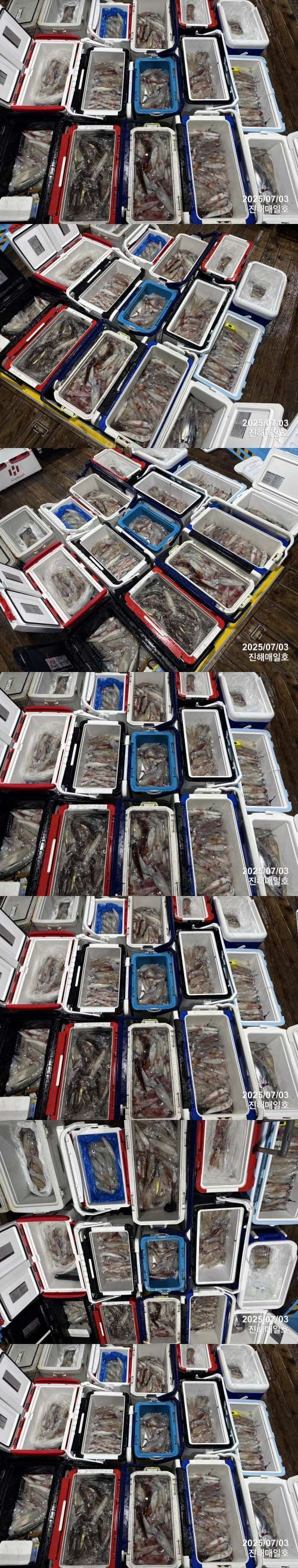 왕한치3.jpg