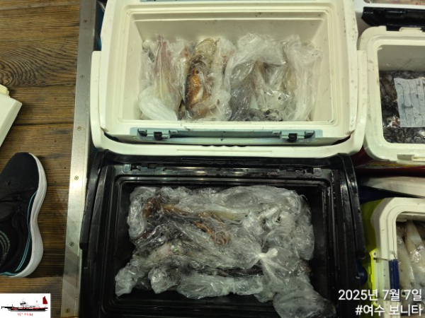 c2a888cae25a3d89379ebdf0488c8791.jpg