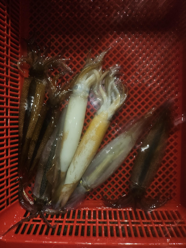 KakaoTalk_20250714_094340187_04.jpg