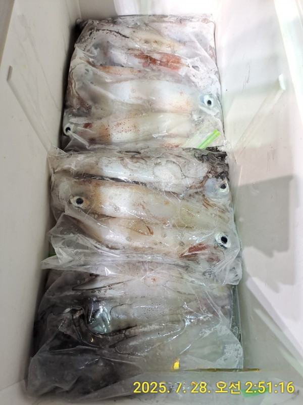 바다꾼낚시(신아라호)_사진_20250728_11.jpg