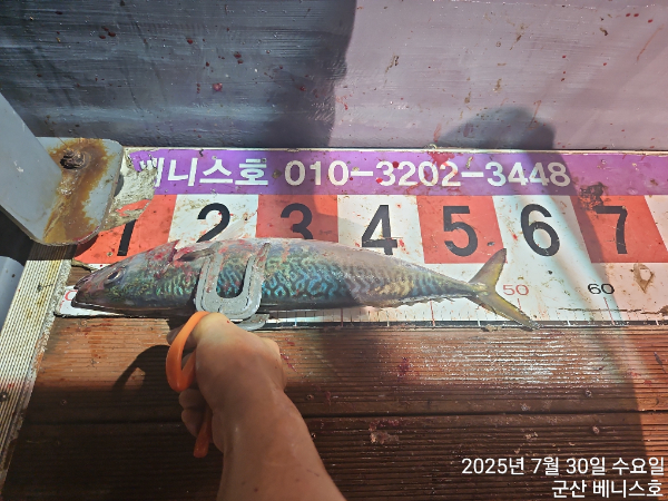 KakaoTalk_20250731_034235608_01.jpg