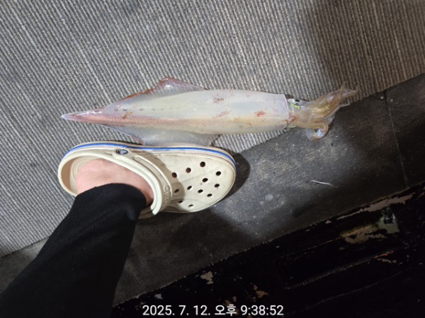 제주선상낚시피닉스호_사진_20250713_13.jpg