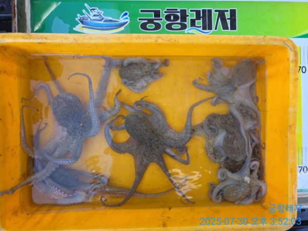 궁항레저_사진_20250731_6.jpg