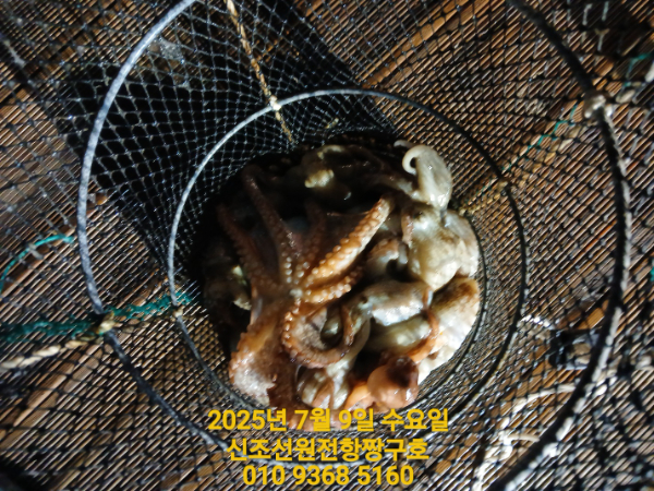 KakaoTalk_20250710_015442852_04.jpg