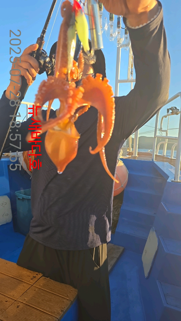 c7cf68211ea9a569df803ebc34d51301.jpg