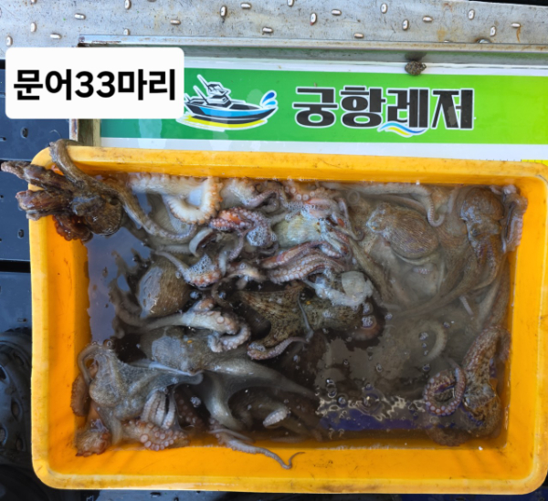 궁항레저_사진_20250729_5.jpg