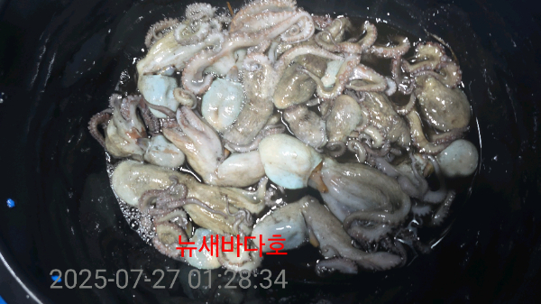 c8eb518bdd07a8d1a370df1acbd52499.jpg