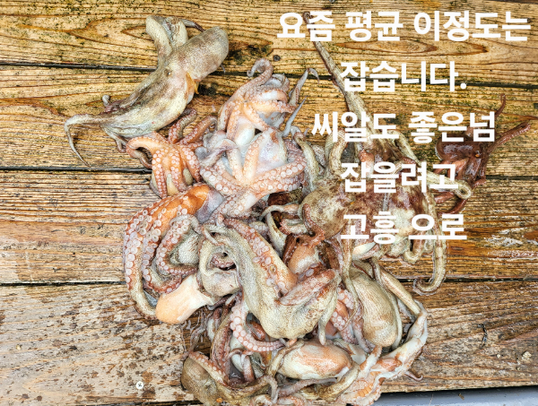 cac70c42b3bc728c11879089d26a4c68.jpg