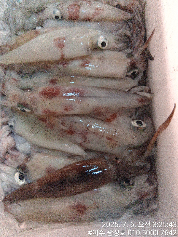 KakaoTalk_20250706_112615269_17.jpg