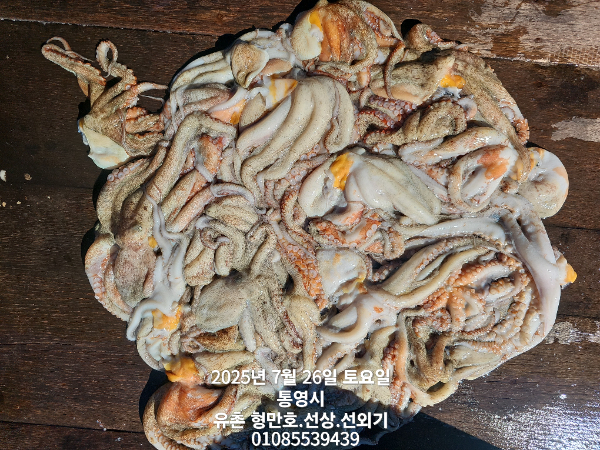 cc3d162373cbb47ed292d3018e7061b6.jpg